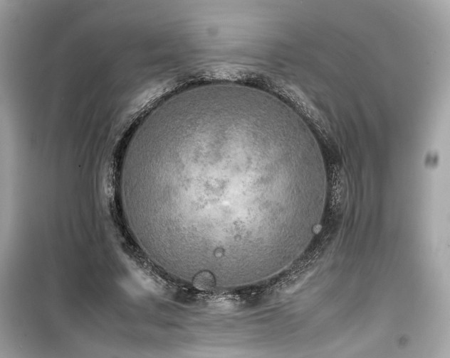 X0000099530683200805161212