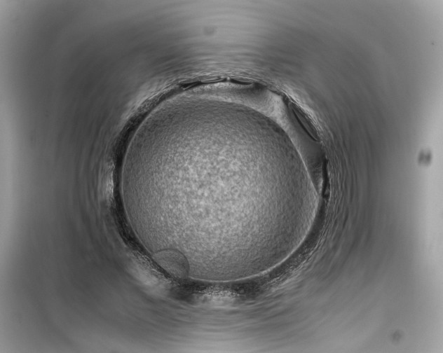 X0000099530685200805161212