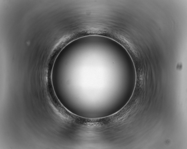 X0000099530686200805161212
