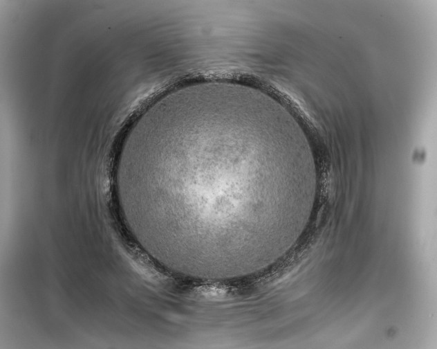 X0000099530687200805161212