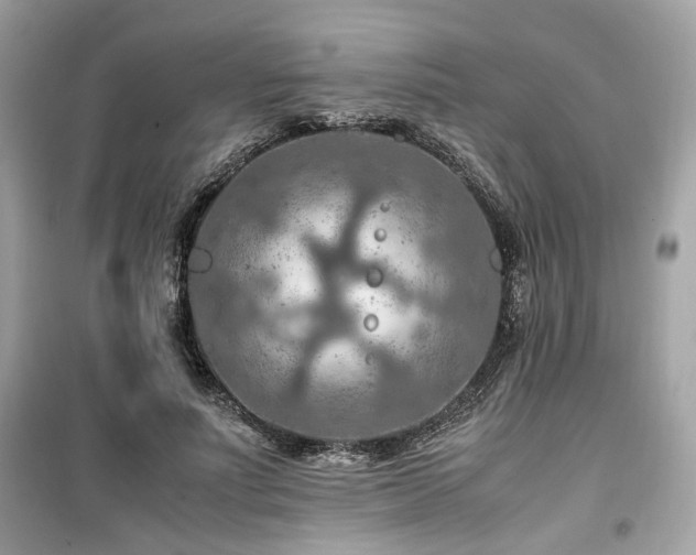 X0000099530691200805161212