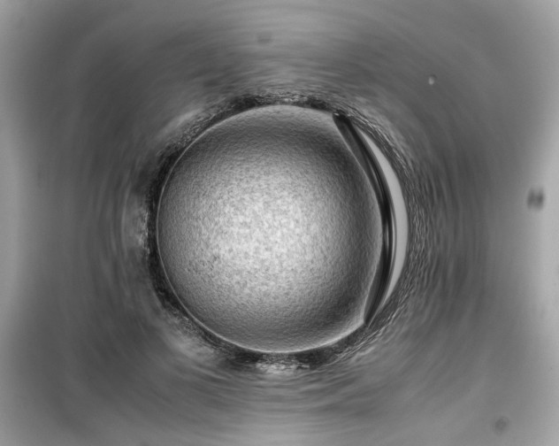 X0000099530693200805161212