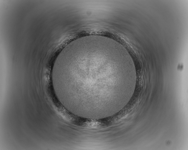 X0000099530695200805161212