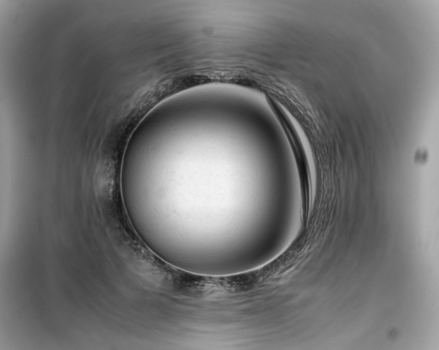 X0000099530697200805161212