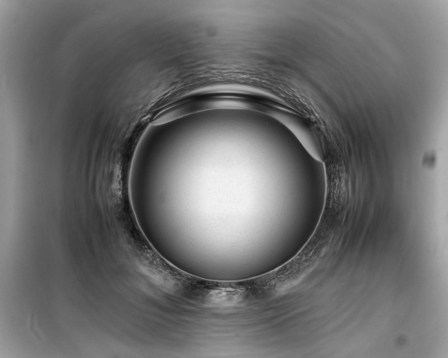 X0000099530700200805161212