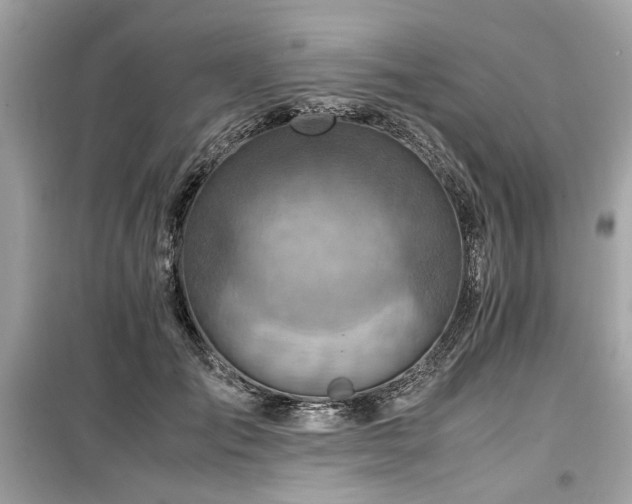 X0000099530701200805161212