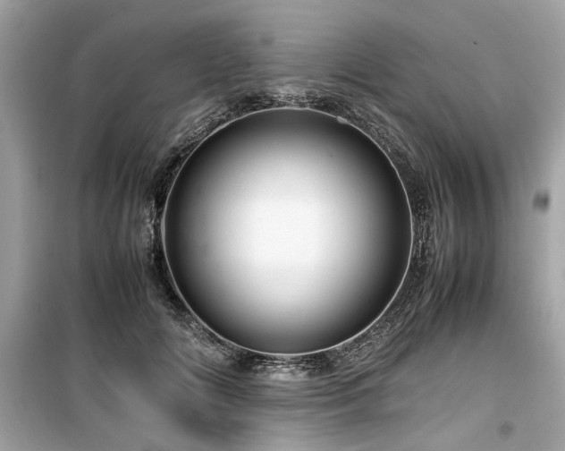X0000099530702200805161212