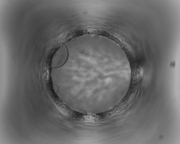 X0000099530703200805161212