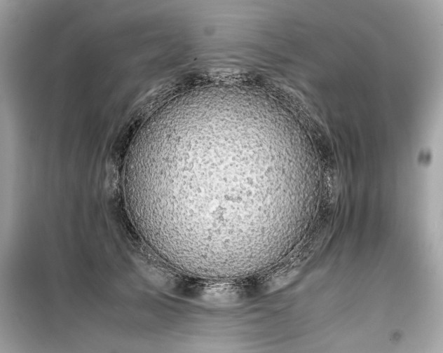 X0000099530705200805161212