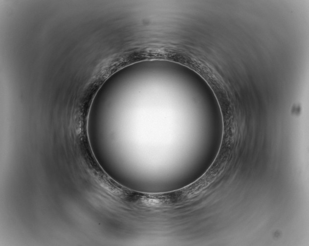 X0000099530706200805161212