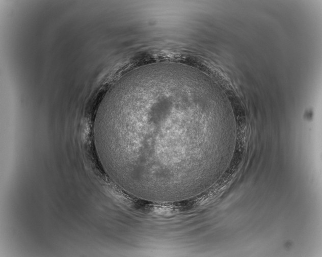 X0000099530709200805161212
