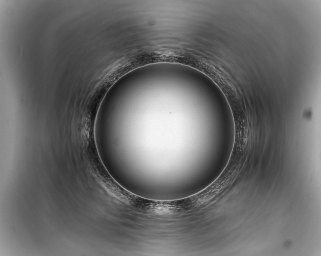 X0000099530710200805161212