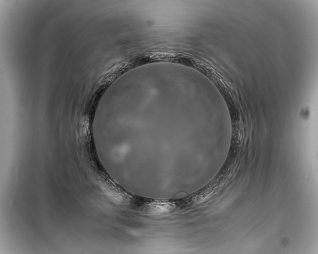 X0000099530711200805161212