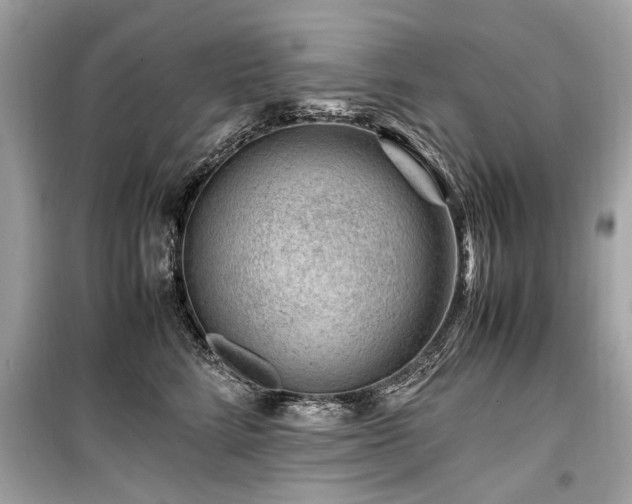 X0000099530712200805161212