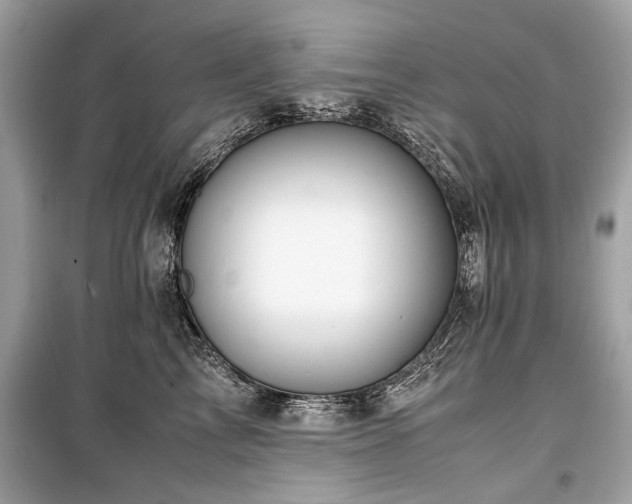 X0000099530713200805161212