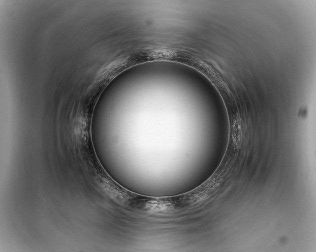 X0000099530714200805161212