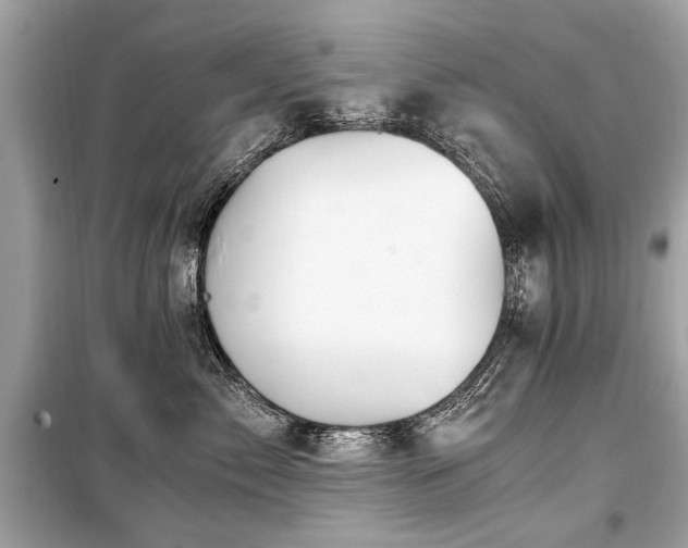 X0000099530717200805161212