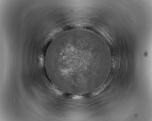 X0000099530718200805161212
