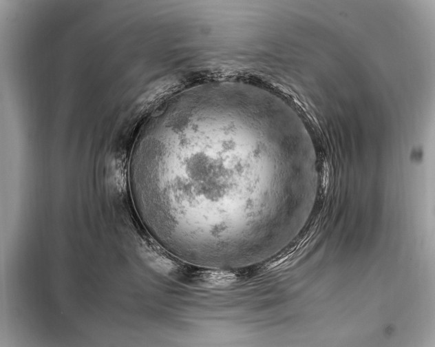 X0000099530719200805161211