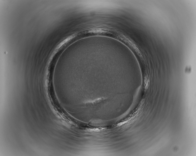X0000099530724200805161211