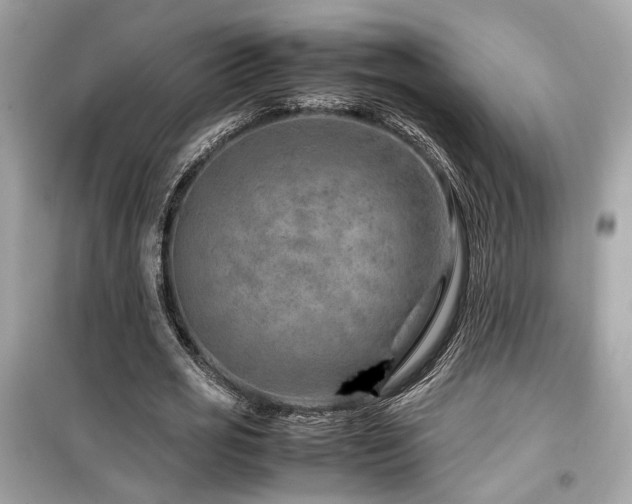 X0000099530725200805161211