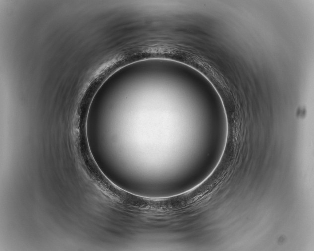 X0000099530727200805161211