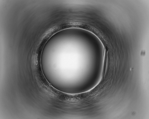 X0000099530731200805161211
