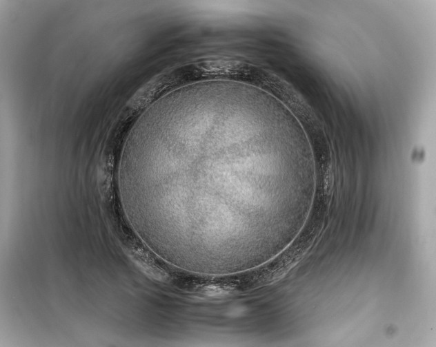 X0000099530737200805161211