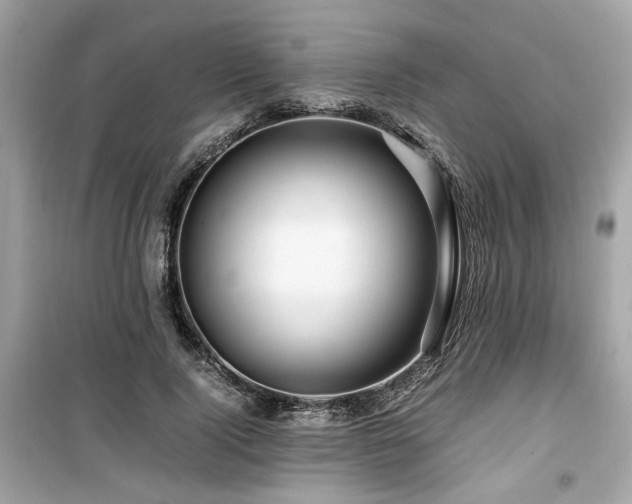 X0000099530740200805161211