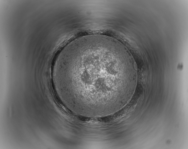 X0000099530742200805161211