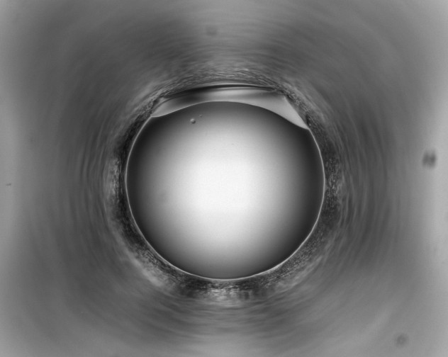 X0000099530744200805161211