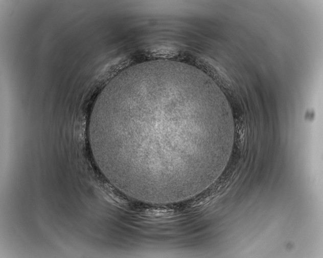 X0000099530745200805161211
