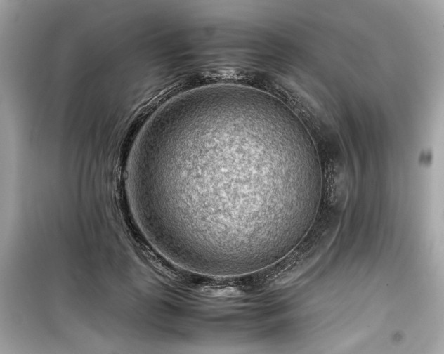 X0000099530747200805161211