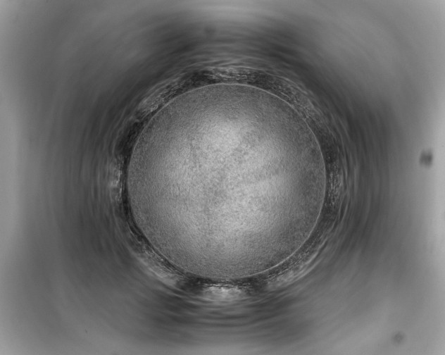 X0000099530749200805161211