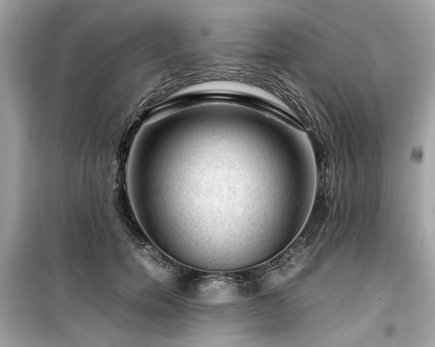 X0000099530750200805161211