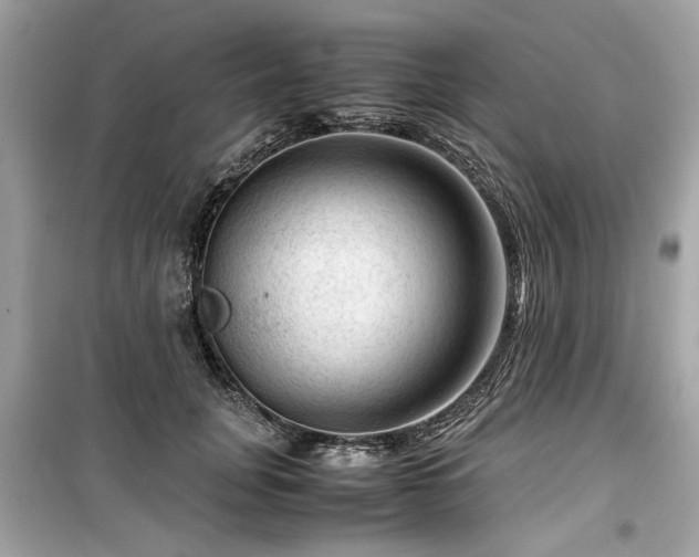 X0000099530751200805161211