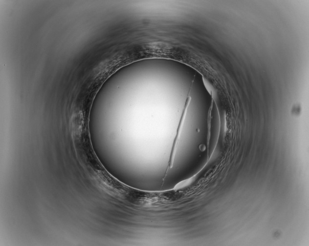 X0000099530752200805161211