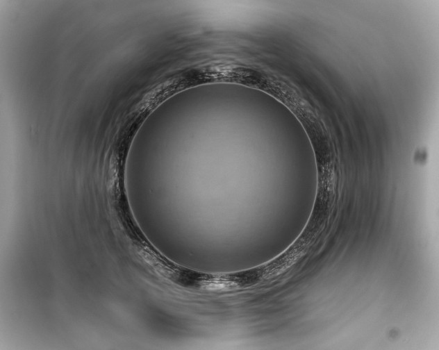 X0000099530754200805161211