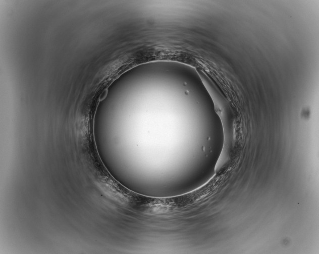 X0000099530756200805161211