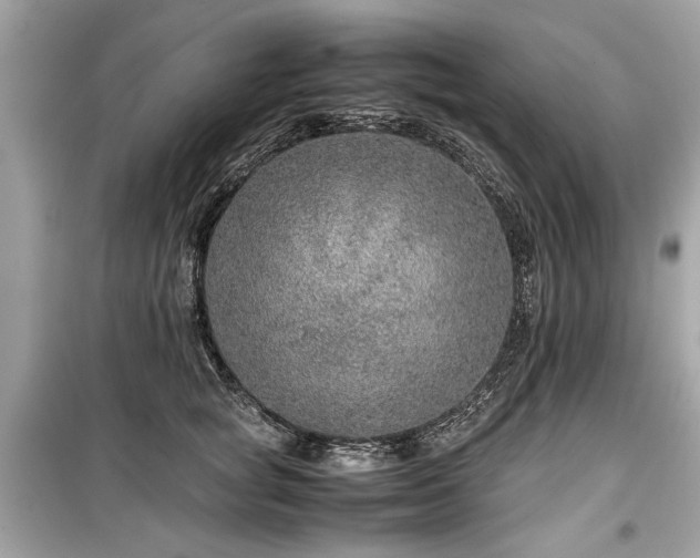 X0000099530757200805161211