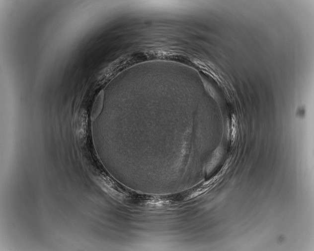 X0000099530760200805161211