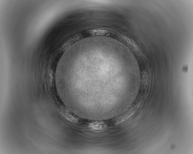 X0000099530761200805161211