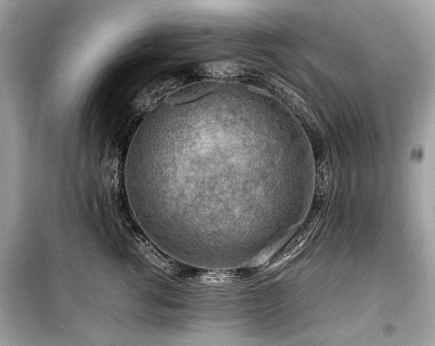 X0000099530762200805161211