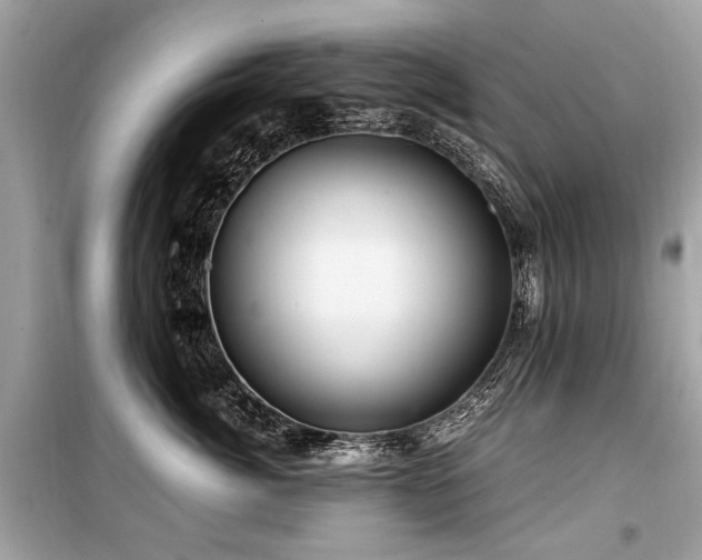 X0000099530764200805161211