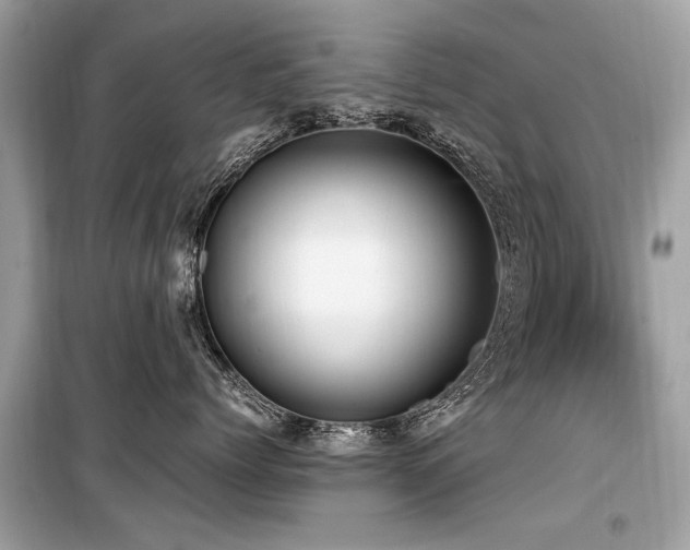 X0000099530768200805161211
