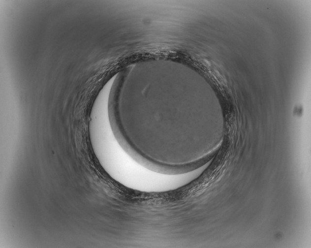 X0000099530769200805161211