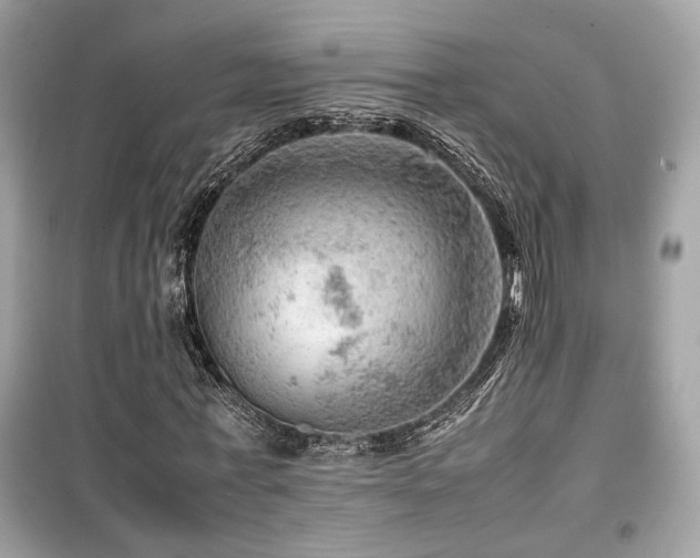X0000099530771200805161211