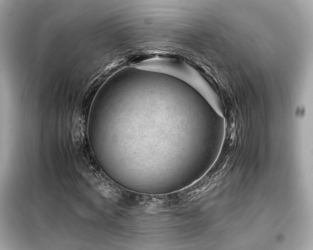 X0000099530772200805161211