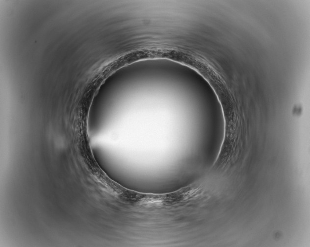 X0000099530773200805161211