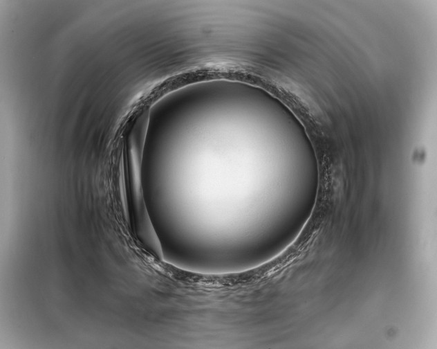 X0000099530776200805161210